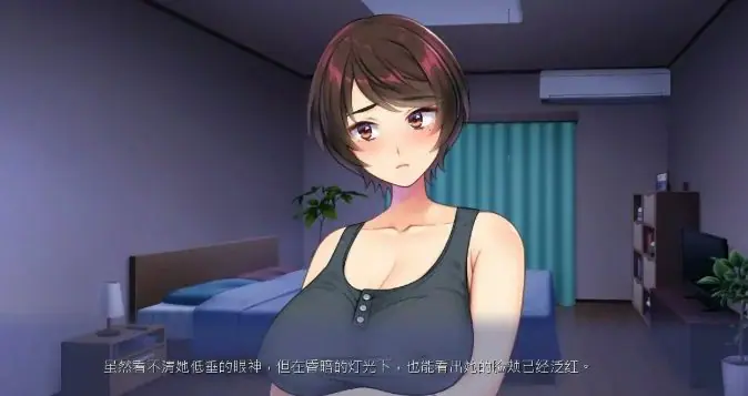 【PC/官中/日系/2D/ADV/3.35G】一墙之隔妻子的声音～官方中文版+日系2DADV+3.35G